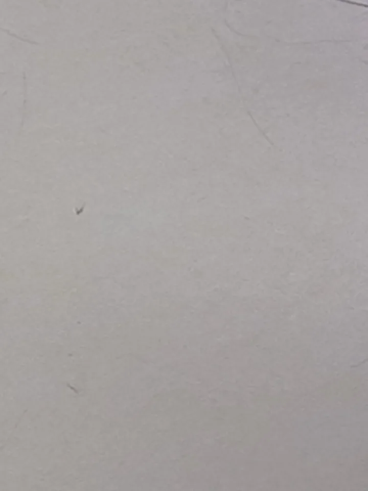 岳母与我角色立绘