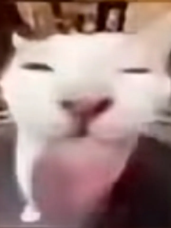 人角色立绘